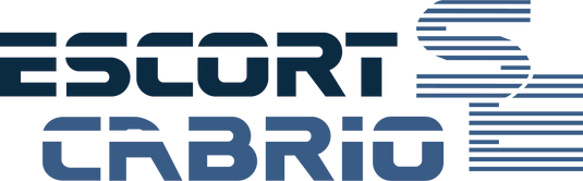 Escort Mk3 Cabrio SE boot decal