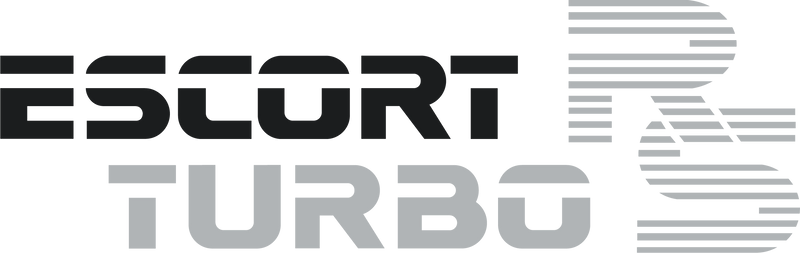 Load image into Gallery viewer, Escort Mk3 RS Turbo Series One tailgate decal
