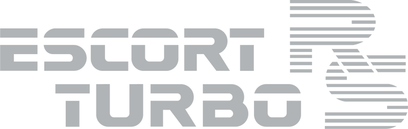 Load image into Gallery viewer, Escort Mk3 RS Turbo Series One tailgate decal
