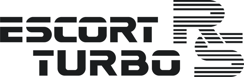 Load image into Gallery viewer, Escort Mk3 RS Turbo Series One tailgate decal
