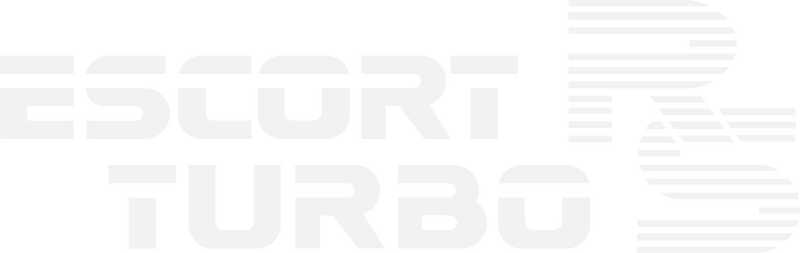 Load image into Gallery viewer, Escort Mk3 RS Turbo Series One tailgate decal
