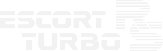 Escort Mk3 RS Turbo Series One tailgate decal