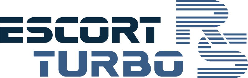 Load image into Gallery viewer, Escort Mk3 RS Turbo Series One tailgate decal
