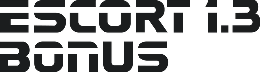 Escort Mk4 1.3 Bonus Tailgate Decal