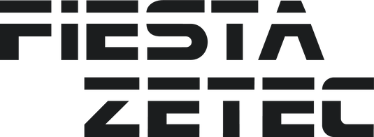 Fiesta Zetec Mk1 Tailgate Decal