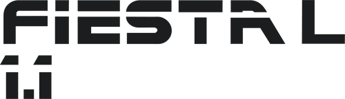 Fiesta Mk2 1.1L Tailgate Decal