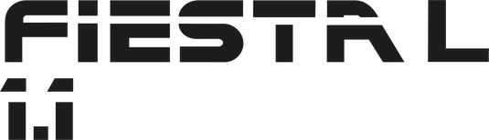 Fiesta Mk2 1.1L Tailgate Decal