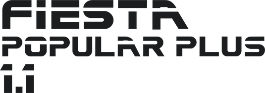 Fiesta Mk2 1.1 Popular Plus Tailgate Decal