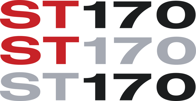 Load image into Gallery viewer, Focus Mk1 ST170 Side Moulding Decals
